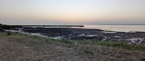 La Plaine‑sur‑Mer, Where Good Friends, Good Food, and Questionable Sea Creatures Unite