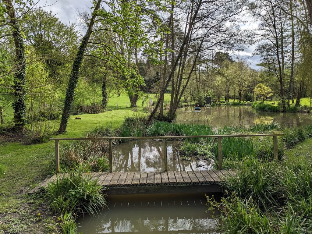 Majors Lake in Bearstead