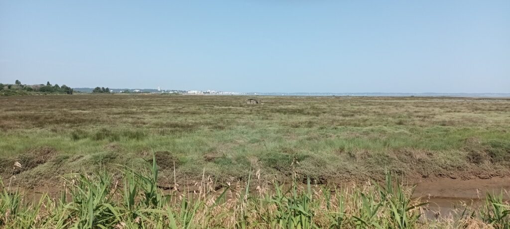 the route to Gujan-Mestras