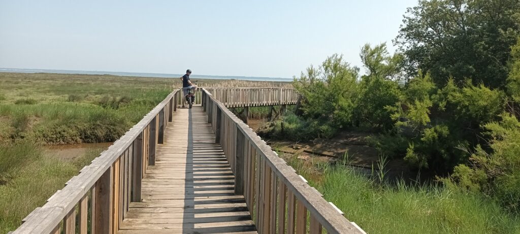 the route to Gujan-Mestras