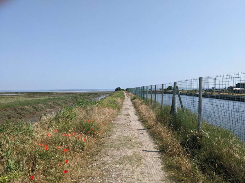 the route to Gujan-Mestras