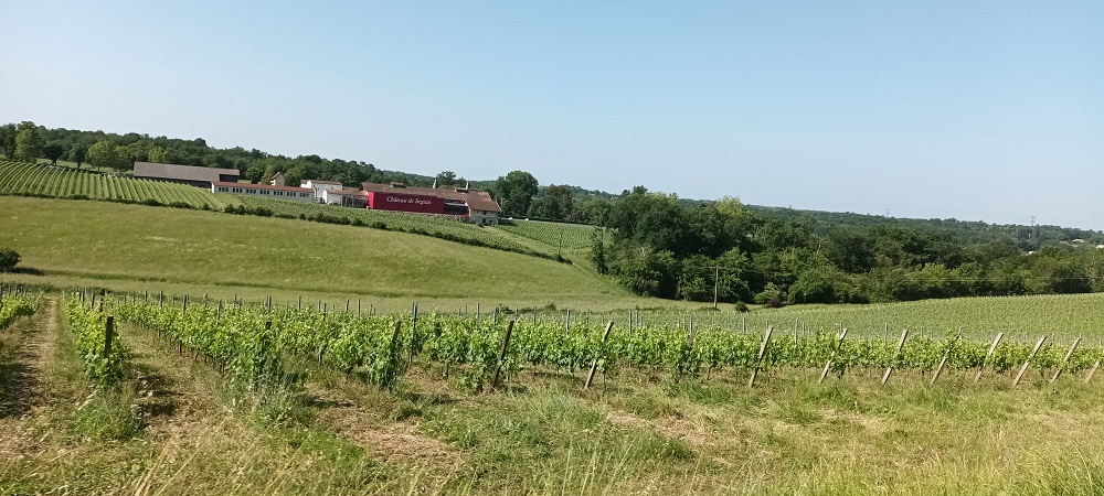 Buy Chateau de Seguin