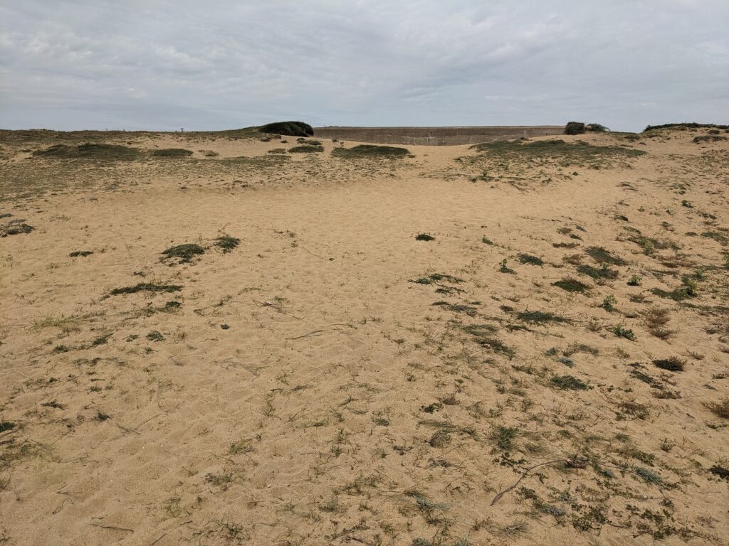 Etel Gun Emplacement