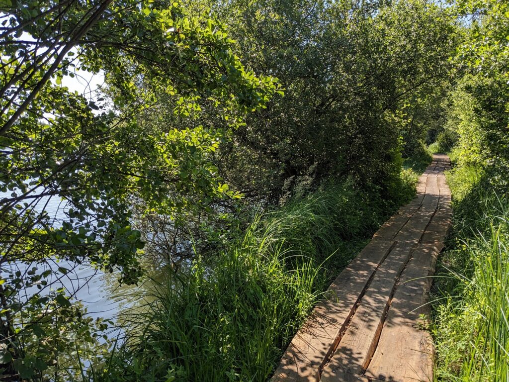 Risle Vally