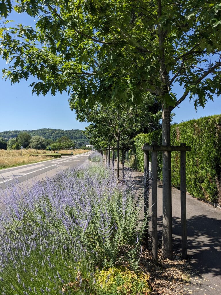 Risle Vally