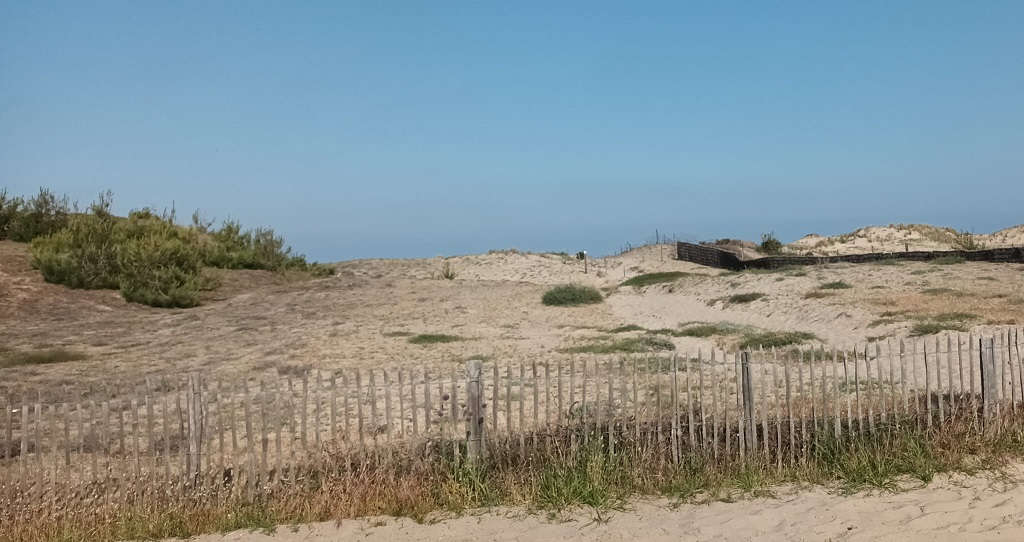 Montalivet sand dunes