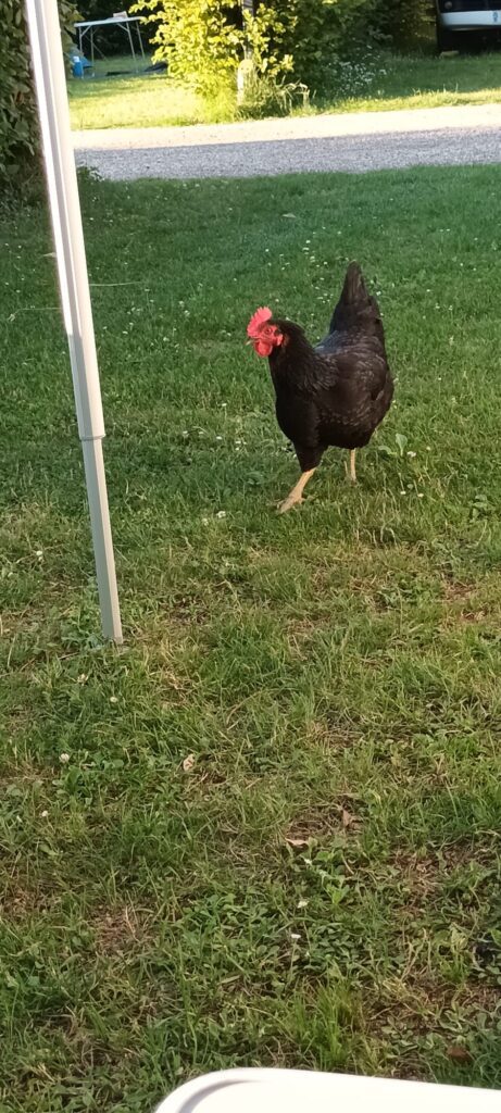 Hey, what you doing