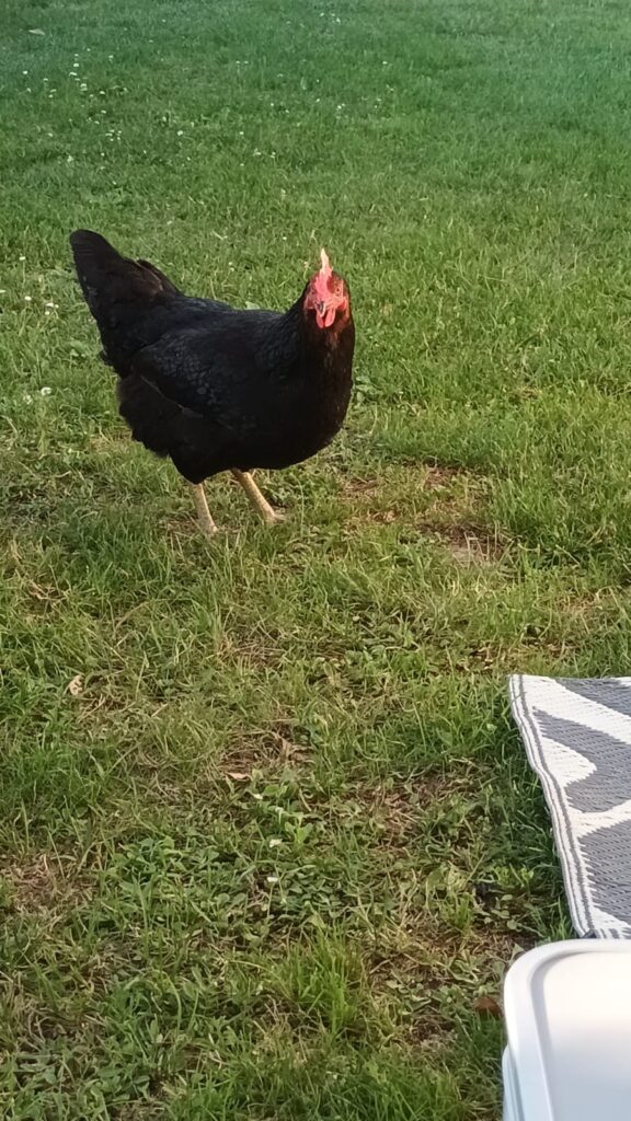 Oh, you got food