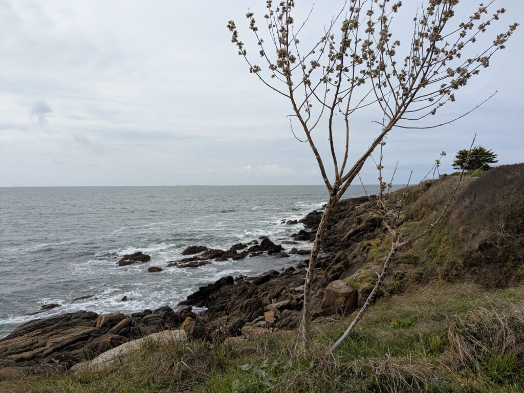 Cliff top view
