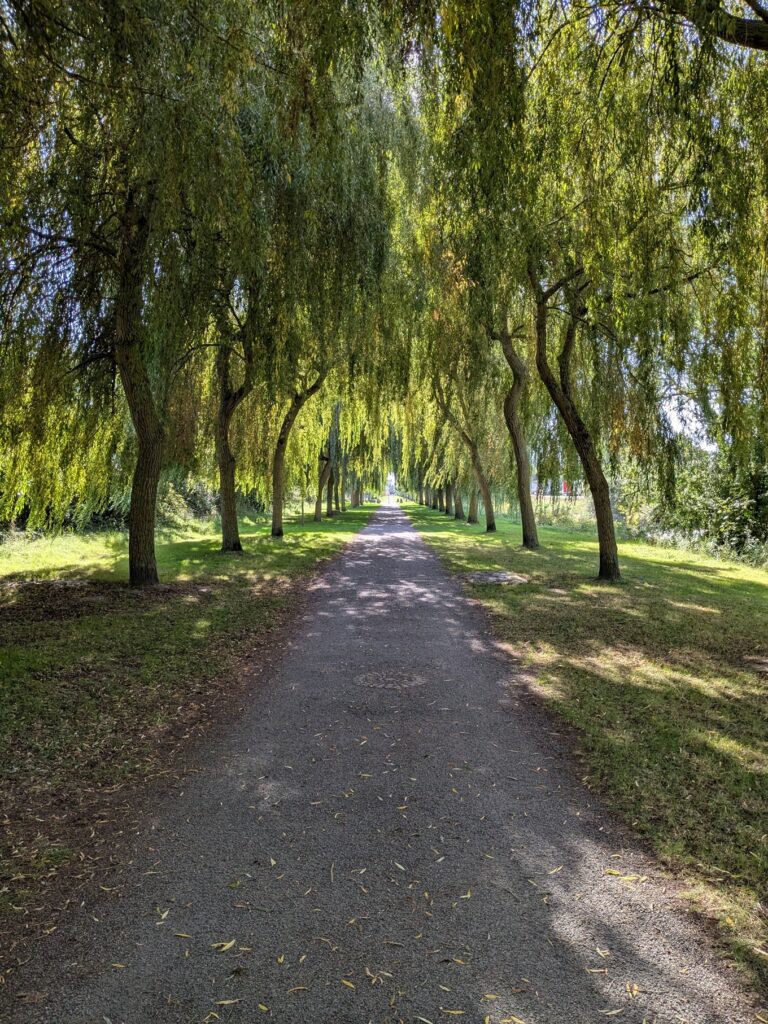 Cycle to mont saint michael