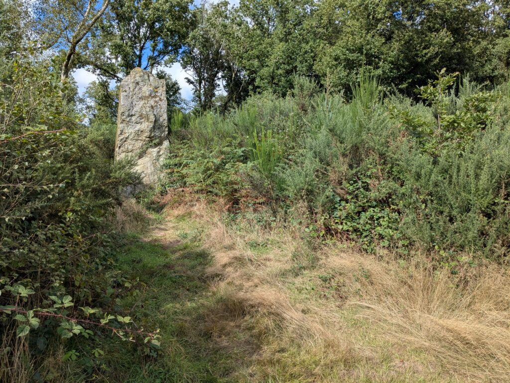 Monolith