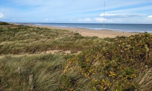 The legacy of Juno Beach in the Normandy invasion